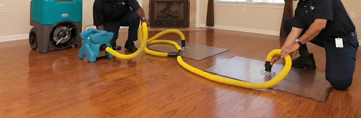 emergency water removal technicians extracting standing water from a home using professional equipment in Fort Collins, CO